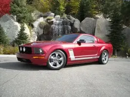 stang08a.webp