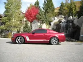 stang08f.webp