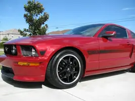 FirstNewCameraPics106.webp