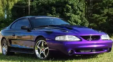 COBRA04.webp