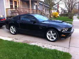 stang.webp