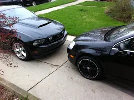 stang2.webp