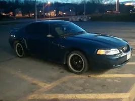 mustang.webp
