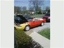 mustang 1.webp