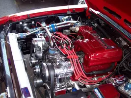 333 beast.webp