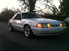 mustang1.webp