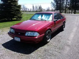 phone pics 011.webp