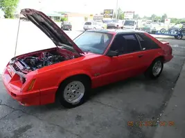stang.webp