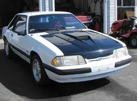 crop new hood.webp