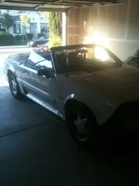 MUSTAN G.webp