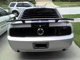 Mustang2.webp