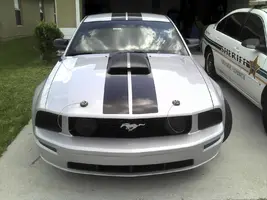 Mustang3.webp
