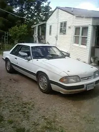 lees mustang 2.webp