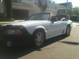 my stang.webp
