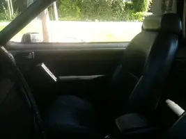 my stang 1.webp