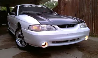 cobra2.webp