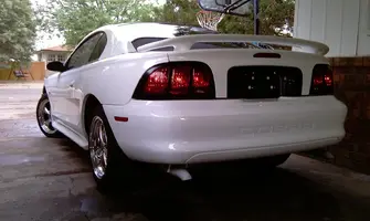 IMAG0424.webp