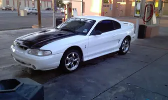 cobra.webp