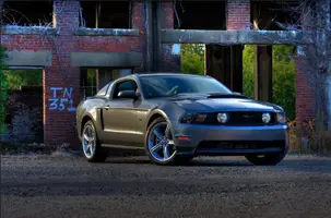 Mustang 3.webp