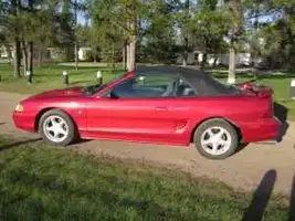 mustang2.webp
