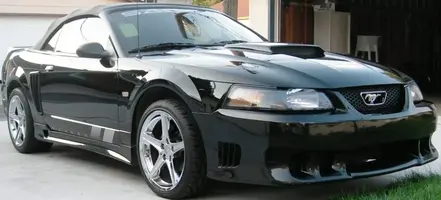 Copy of Mustang 015.webp