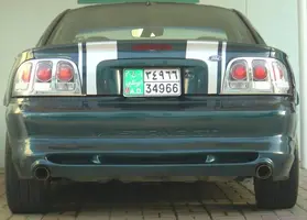 MUSTANG10.webp
