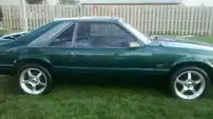 mustang 3.webp