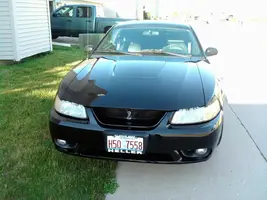 Mustang 1.webp