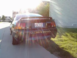 Mustang Back.webp