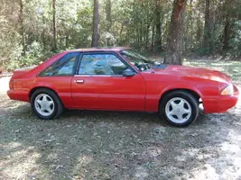 mustang.webp