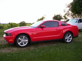 Stang19.webp