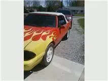 mustang 2.webp