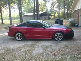 mustang 4.webp