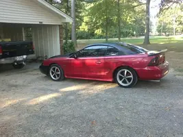 mustang 1.webp