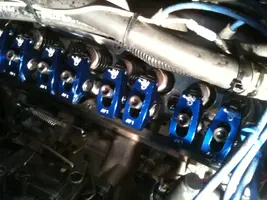 photo.webp