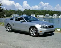 mustang4.webp