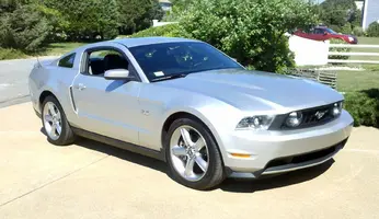 mustang7.webp