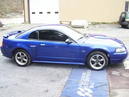 stang 5.webp