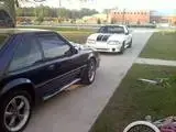 th_20110413190338.webp