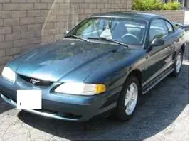 mustang 872.webp