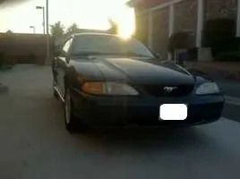 mustang111.webp