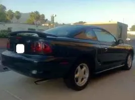 mustang113.webp