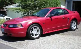 mustang 005.webp