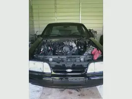 ready to pull.webp