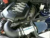 cai.webp
