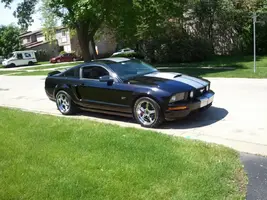 clean and polished.webp