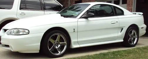 Cobra.webp