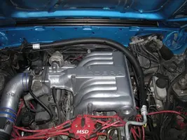 DSCN1022.webp