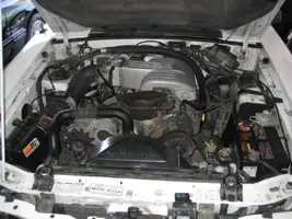 July 2011 244.webp