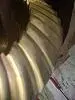 ring2.webp